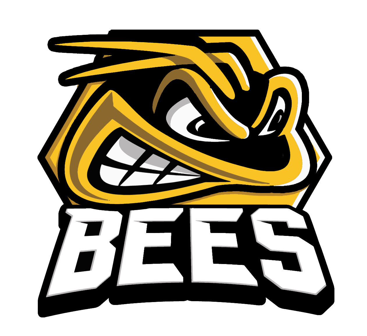Bees Ice Hockey